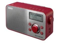 Sony XDR-S60DBPR, rot, DAB