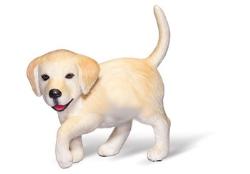 tiptoi® Golden Retriever 