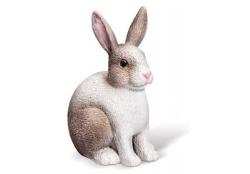 tiptoi® Kaninchen, Alter: tiptoi® Kaninchen, Alter: