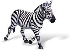 tiptoi® Zebrastute, Alter