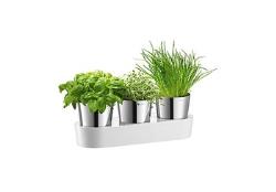 Auerhahn HERBS@HOME Krä Auerhahn HERBS@HOME Krä