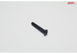 EP Product M4x10 Linsenkop